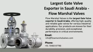 Largest Gate Valve Exporter in Saudi Arabia - Flow Marshal Valves