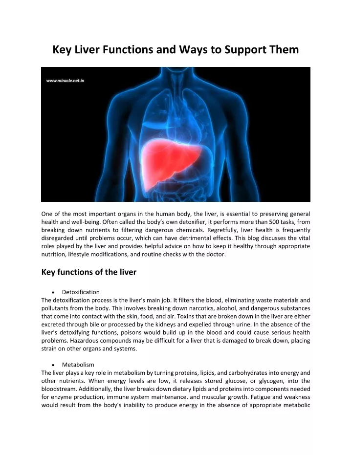 key liver functions and ways to support them