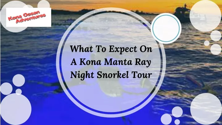 what to expect on a kona manta ray night snorkel