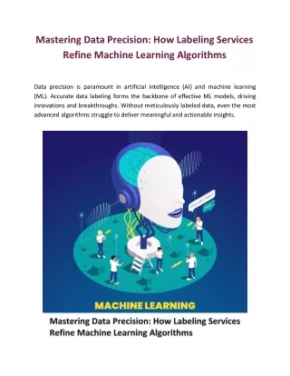 How Labeling Services Refine Machine Learning Algorithms