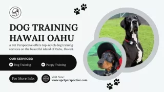 Dog Training Hawaii Oahu