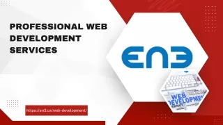 professional web development services