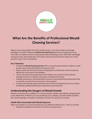 What Are the Benefits of Professional Mould Cleaning Services?