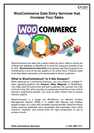 woocommerce data entry services that increase