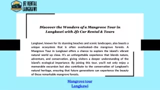 Discover the Wonders of a Mangrove Tour in Langkawi with Jfz Car Rental & Tours