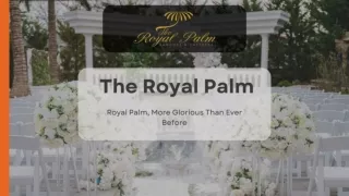 The Royal Palm