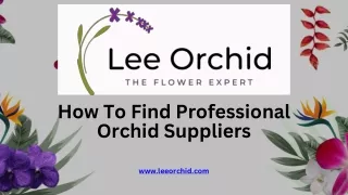 How To Find Professional Orchid Suppliers