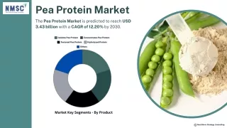 Pea Protein Market Forecast 2030: Key Trends & Growth Opportunities