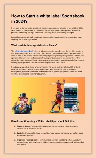 How to Start a white label Sportsbook in 2024