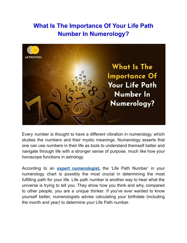 what is the importance of your life path number