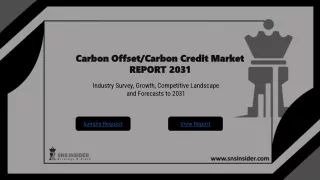 Carbon Offset Carbon Credit Market