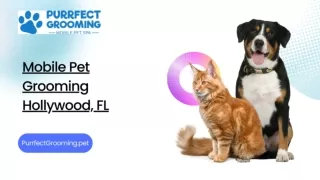 Mobile Pet Grooming Hollywood, FL