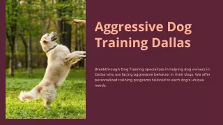aggressive dog training dallas