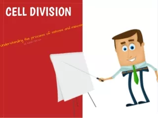 Cell division