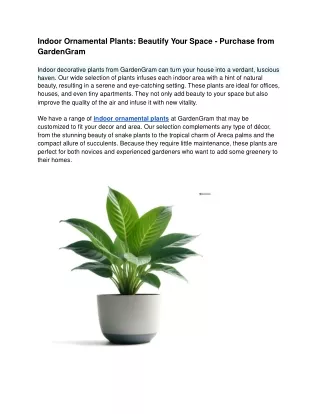 Indoor Ornamental Plants_ Beautify Your Space - Purchase from GardenGram