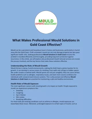 What Makes Professional Mould Solutions in Gold Coast Effective?