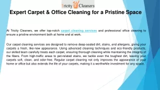 Expert Carpet & Office Cleaning for a Pristine Space