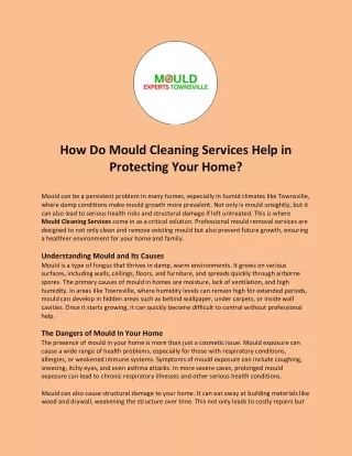 How Do Mould Cleaning Services Help in Protecting Your Home?