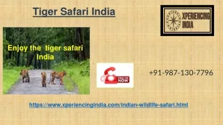 Wildlife tour operator in India +12895053459