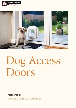 Modify Your House with Personalized Dog Access Doors