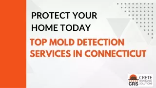Top Mold Detection Services - Protect Your Home Today