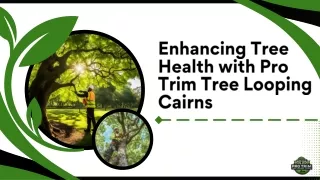 enhancing tree health with pro trim tree looping