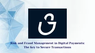 risk and fraud management in digital payments