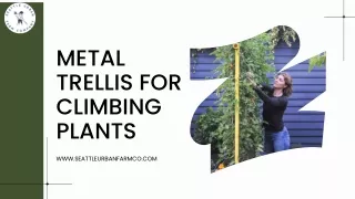 Support Your Climbing Plants with a Stylish Metal Trellis