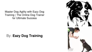 The Online Dog Trainer