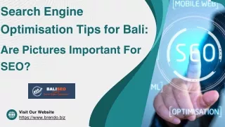 Search Engine Optimization Bali Tips Are Pictures Important For SEO_4