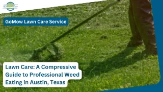 Lawn Care: A Compressive Guide to Professional Weed Eating in Austin, Texas