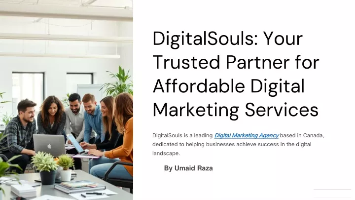 digitalsouls your trusted partner for affordable