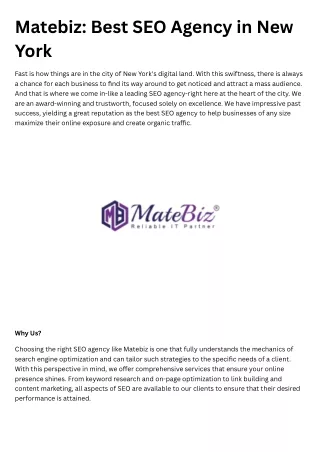 Matebiz The Best SEO Agency in New York