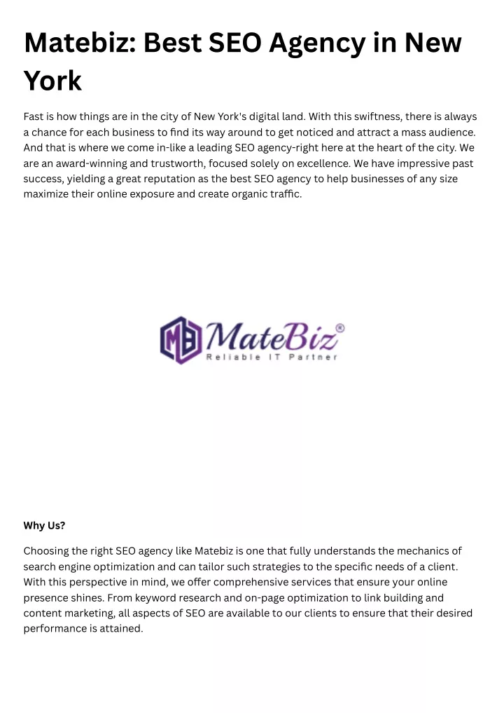 matebiz best seo agency in new york