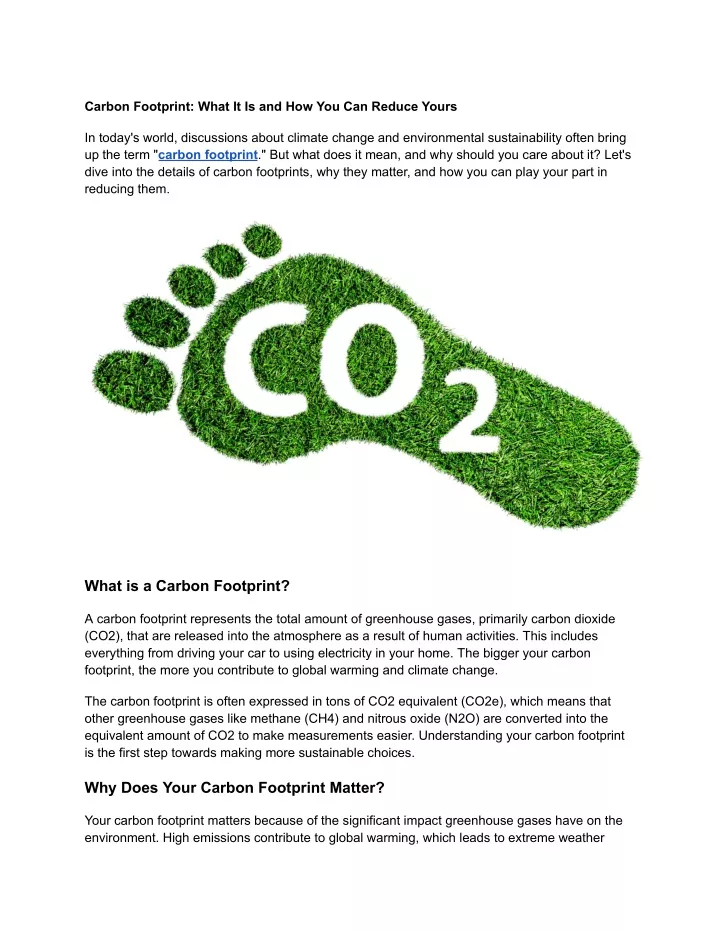 carbon footprint what