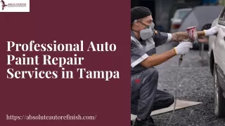 Professional Auto Paint Repair Services in Tampa