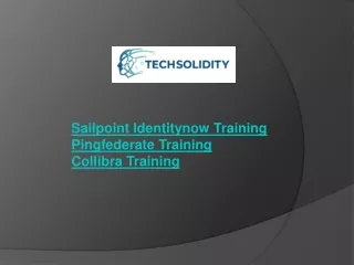 sailpoint identitynow training pingfederate