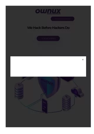 website penetration testing