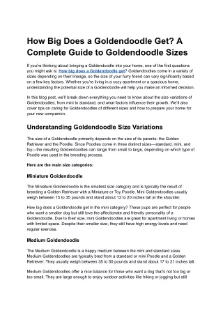 how big does a goldendoodle get a complete guide