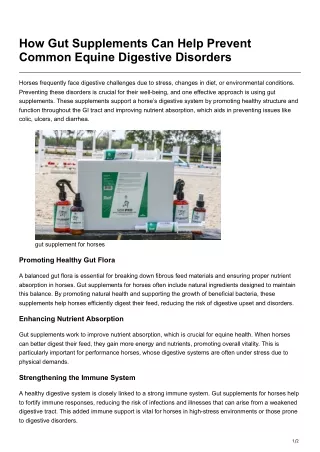 How Gut Supplements Can Help Prevent Common Equine Digestive Disorders