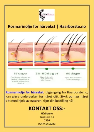 Rosmarinolje for hårvekst  Haarborste.no