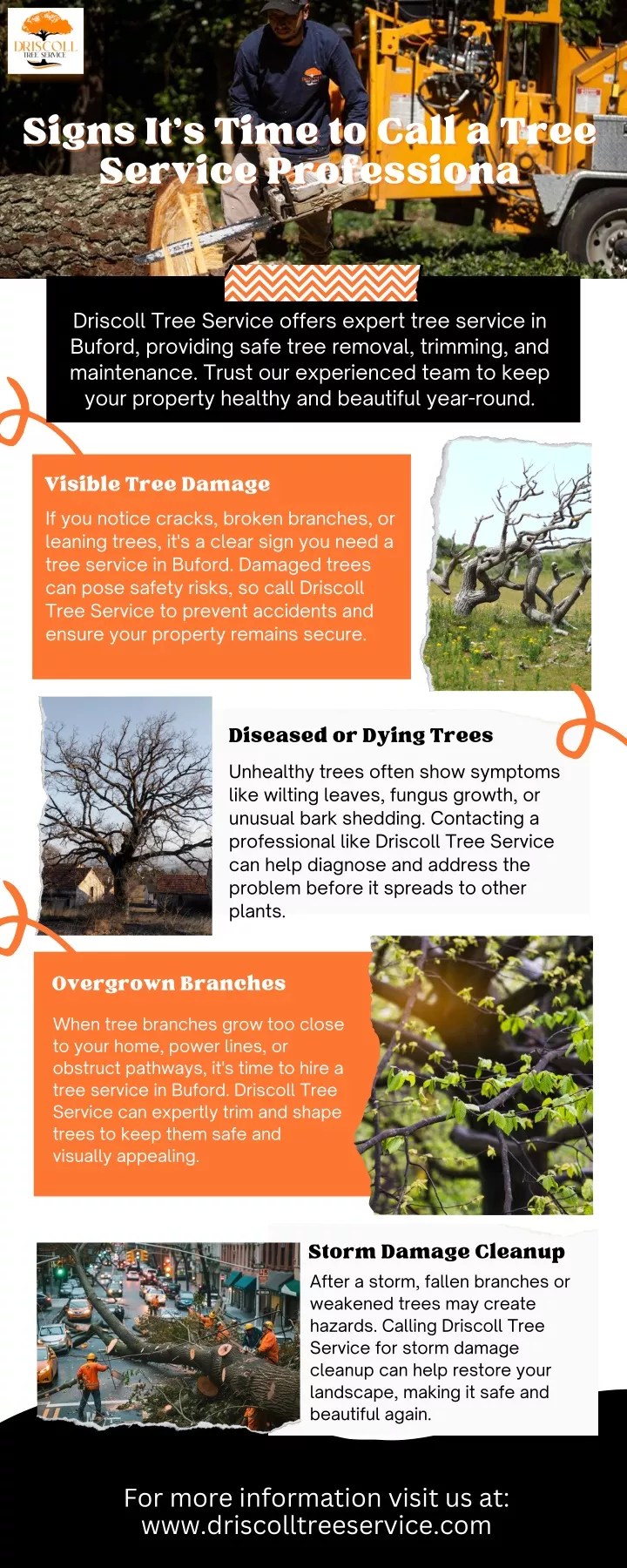 signs it s time to call a tree signs it s time