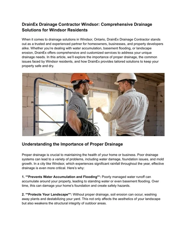 DrainEx Drainage Contractor Windsor