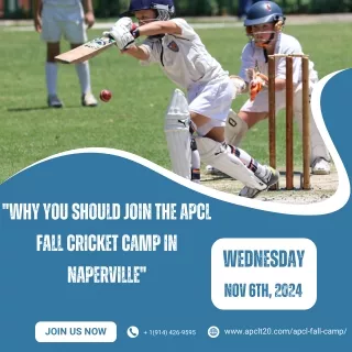 "Why You Should Join the APCL Fall Cricket Camp in Naperville"