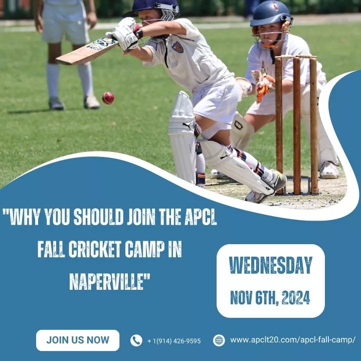 why you should join the apcl fall cricket camp