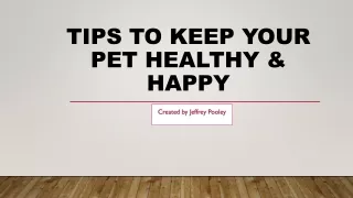 tips to keep your pet healthy happy