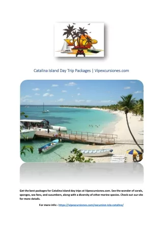 catalina island day trip packages vipexcursiones