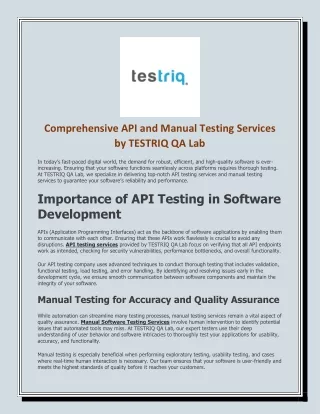 comprehensive api and manual testing services