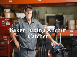 Baker Tubing Anchor Catcher - www.techtac.com