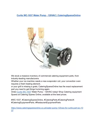 Curtis WC-1037 Water Pump - 120VAC _ CateringSparesOnline